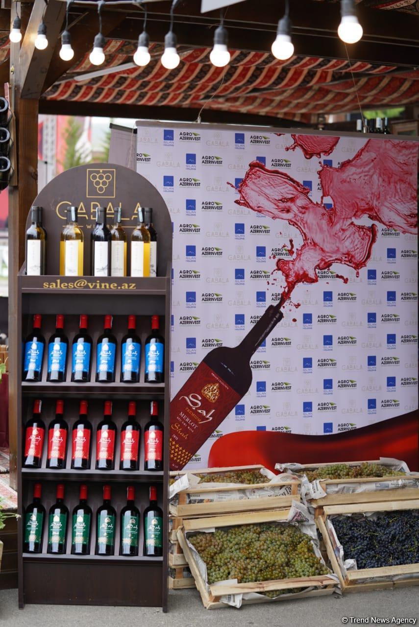 Morning photo session from 1st Grape and Wine Festival in Azerbaijan’s Shamakhi city
