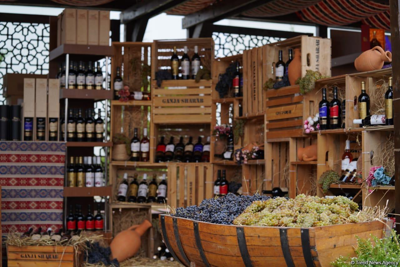 Morning photo session from 1st Grape and Wine Festival in Azerbaijan’s Shamakhi city