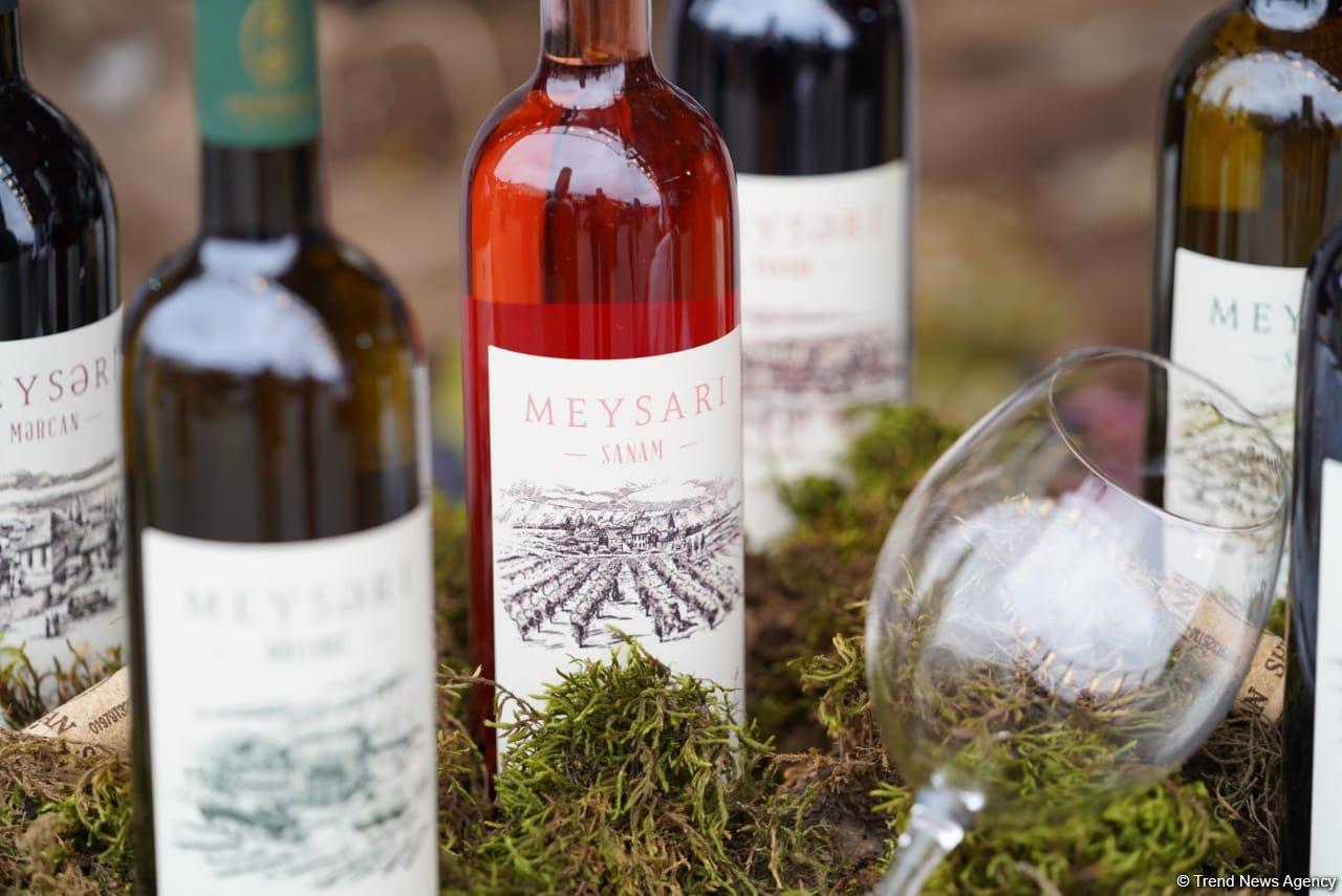 Morning photo session from 1st Grape and Wine Festival in Azerbaijan’s Shamakhi city