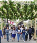 Vice-President of Heydar Aliyev Foundation Leyla Aliyeva views pavilions at First Grape and Wine Festival (PHOTOS)