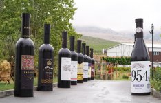 Vice-President of Heydar Aliyev Foundation Leyla Aliyeva views pavilions at First Grape and Wine Festival (PHOTOS)