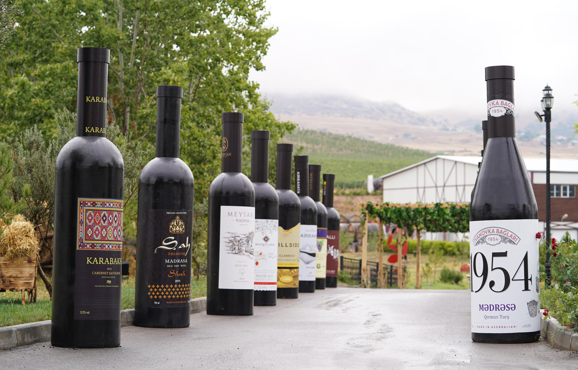 Vice-President of Heydar Aliyev Foundation Leyla Aliyeva views pavilions at First Grape and Wine Festival (PHOTOS)