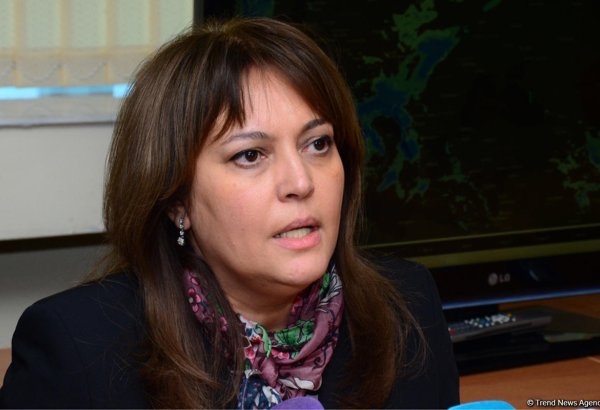 Azerbaijani ministry shares results of monitoring in Eastern Zangazur, Karabakh regions for 2021
