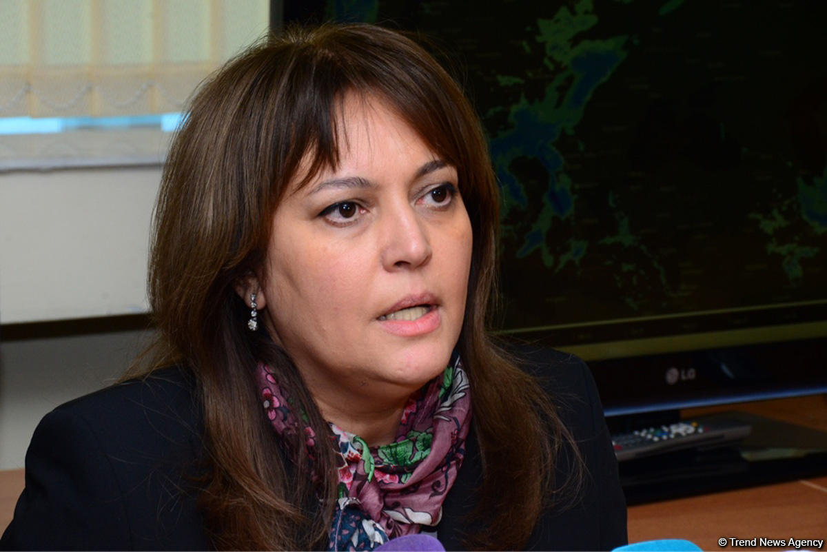 Azerbaijani ministry shares results of monitoring in Eastern Zangazur, Karabakh regions for 2021