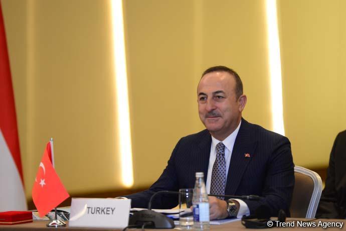 Cavusoglu: Uzbekistan’s participation in Turkic Council to strengthen it more