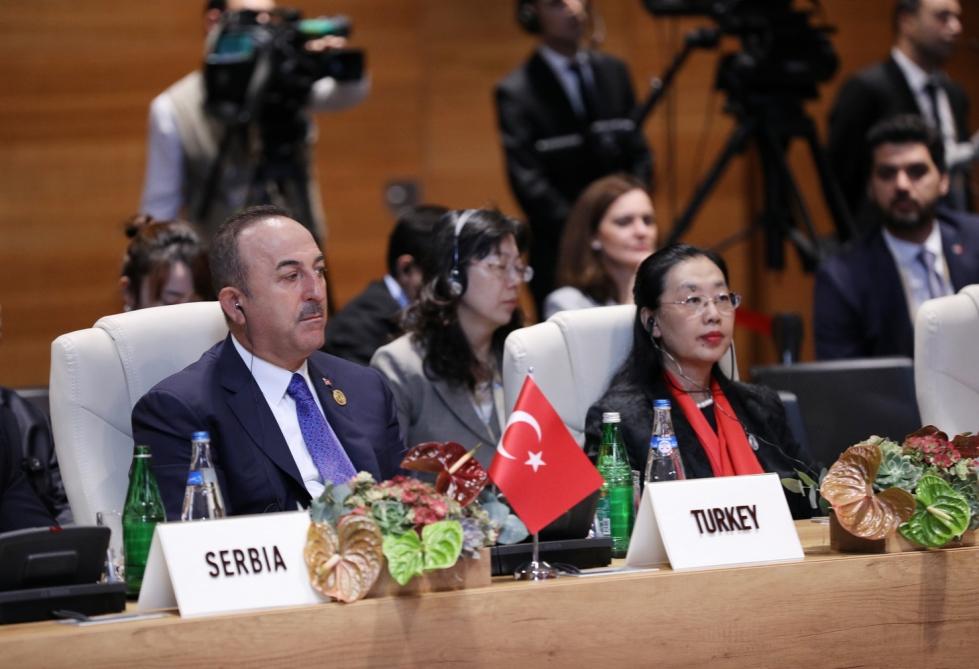 Azerbaijani president participates in 18th Summit of Non-Aligned Movement in Baku (PHOTO)