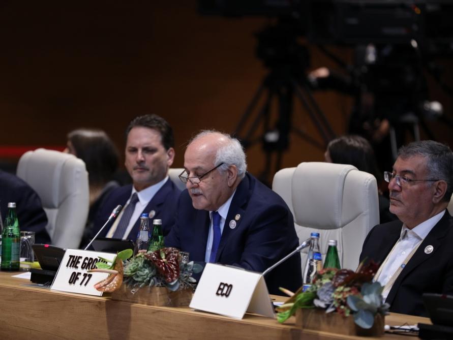 Azerbaijani president participates in 18th Summit of Non-Aligned Movement in Baku (PHOTO)