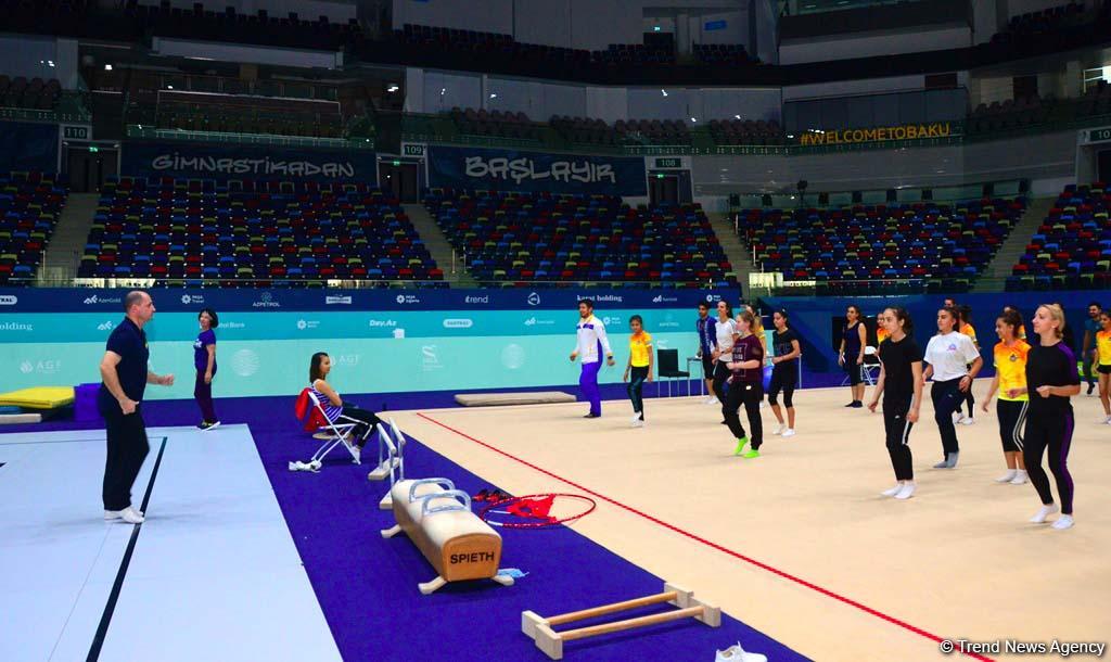 Azerbaijan Gymnastics Federation organizes aerobic gymnastics coaching courses (PHOTO)