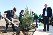 Azerbaijani president, first lady attend tree-planting campaign in Khatai district, Baku (PHOTO)