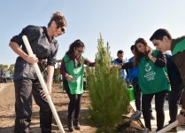 Azerbaijani president, first lady attend tree-planting campaign in Khatai district, Baku (PHOTO)