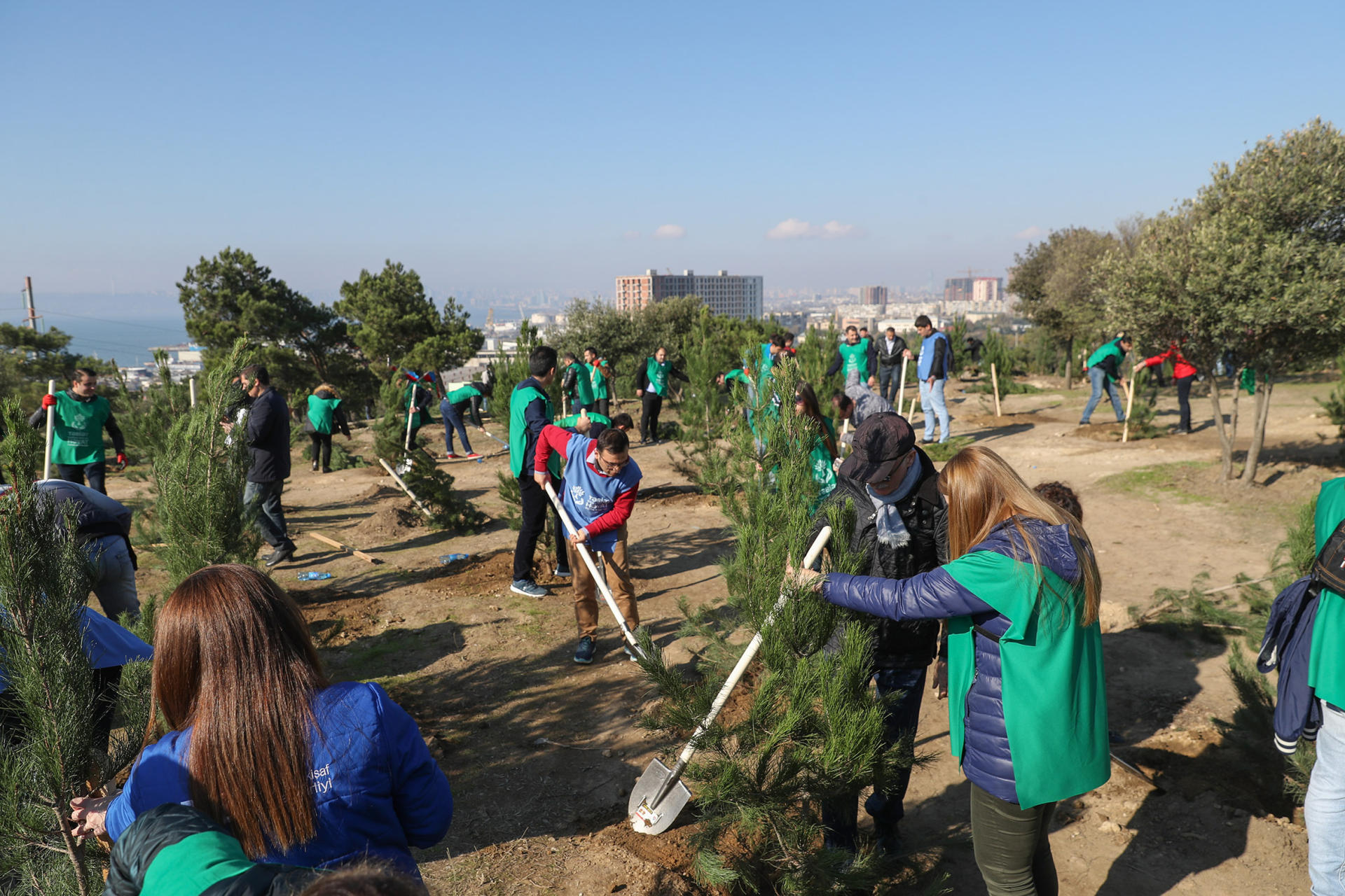 Azerbaijani president, first lady attend tree-planting campaign in Khatai district, Baku (PHOTO)