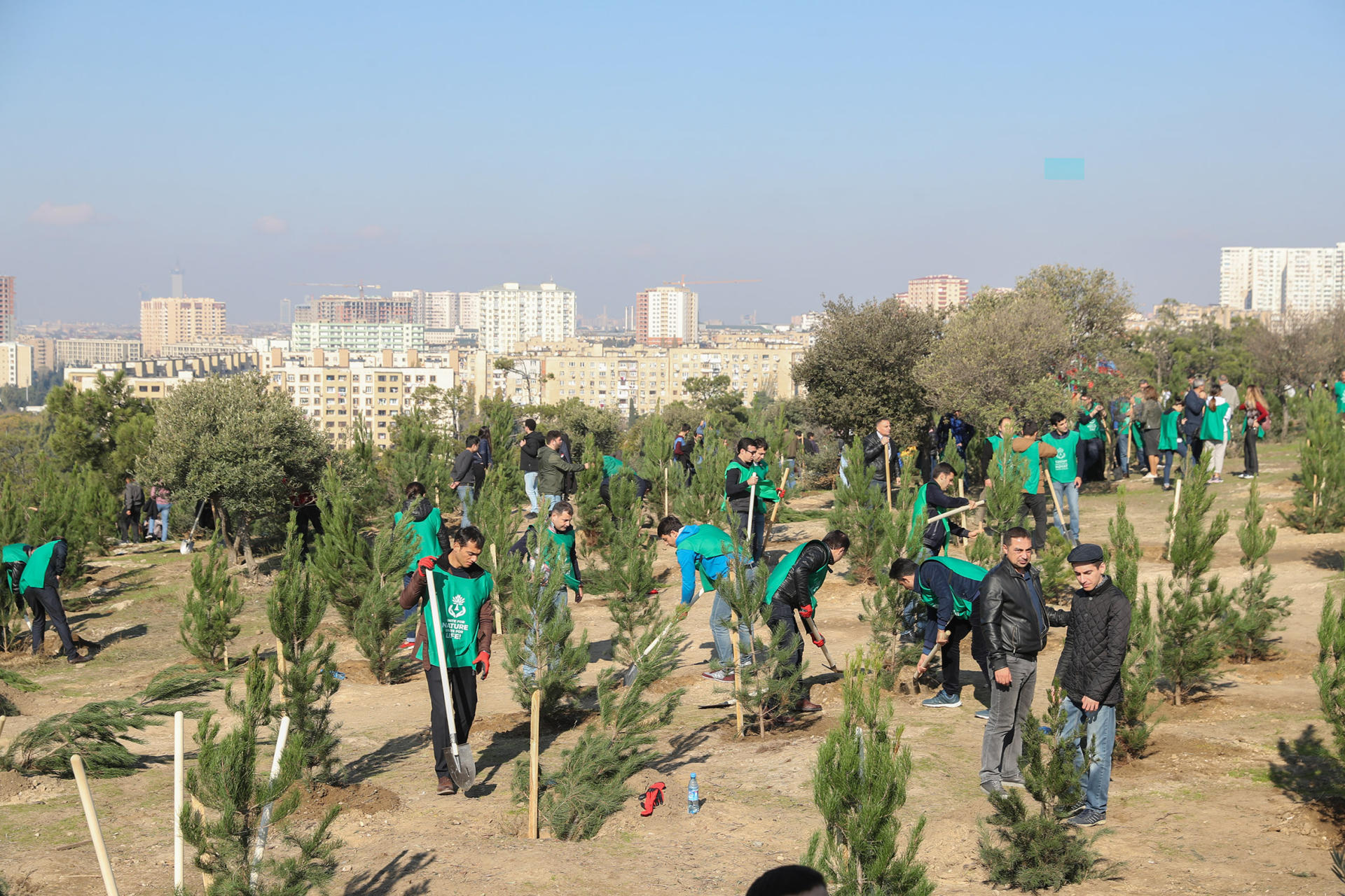 Azerbaijani president, first lady attend tree-planting campaign in Khatai district, Baku (PHOTO)