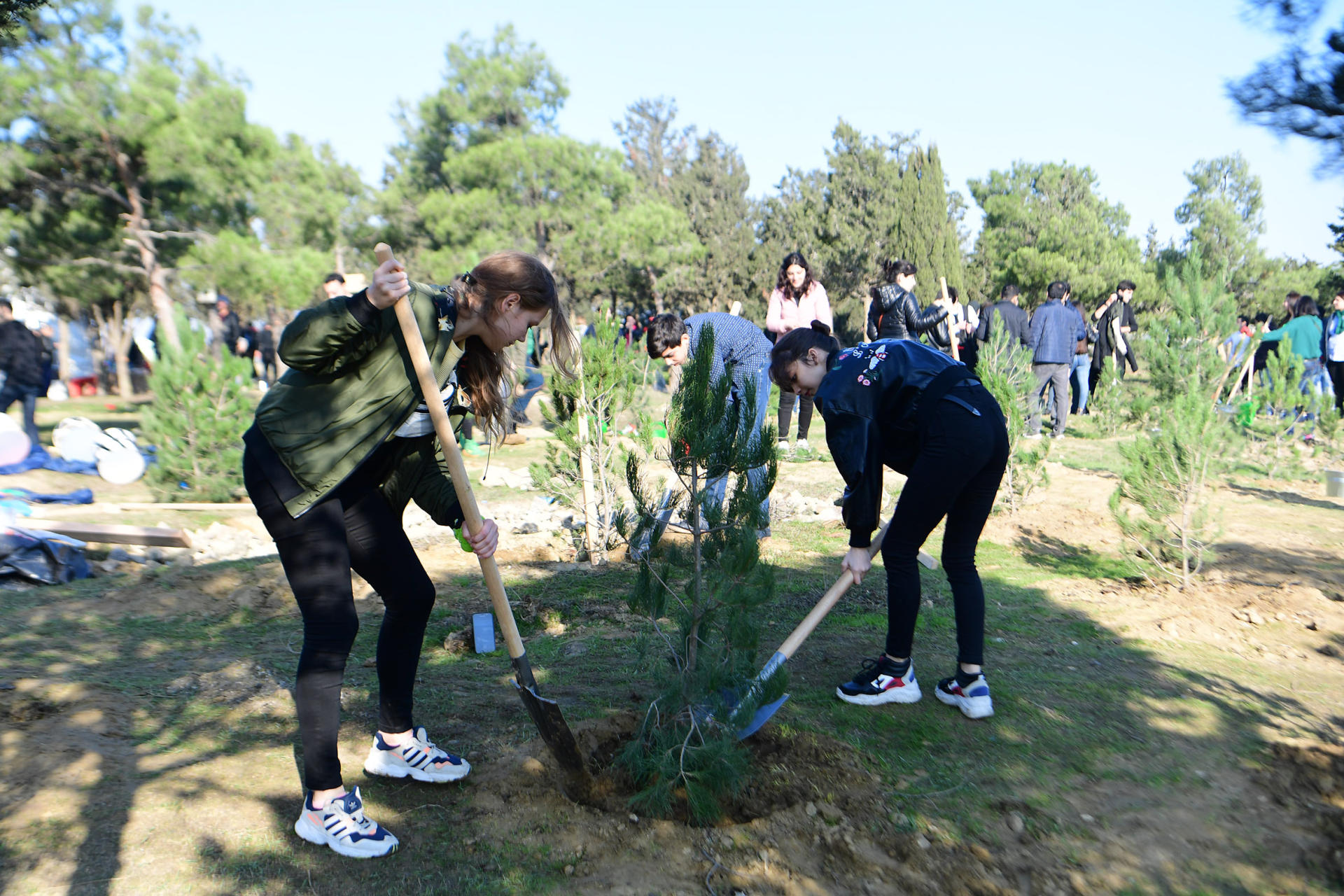 Azerbaijani president, first lady attend tree-planting campaign in Khatai district, Baku (PHOTO)