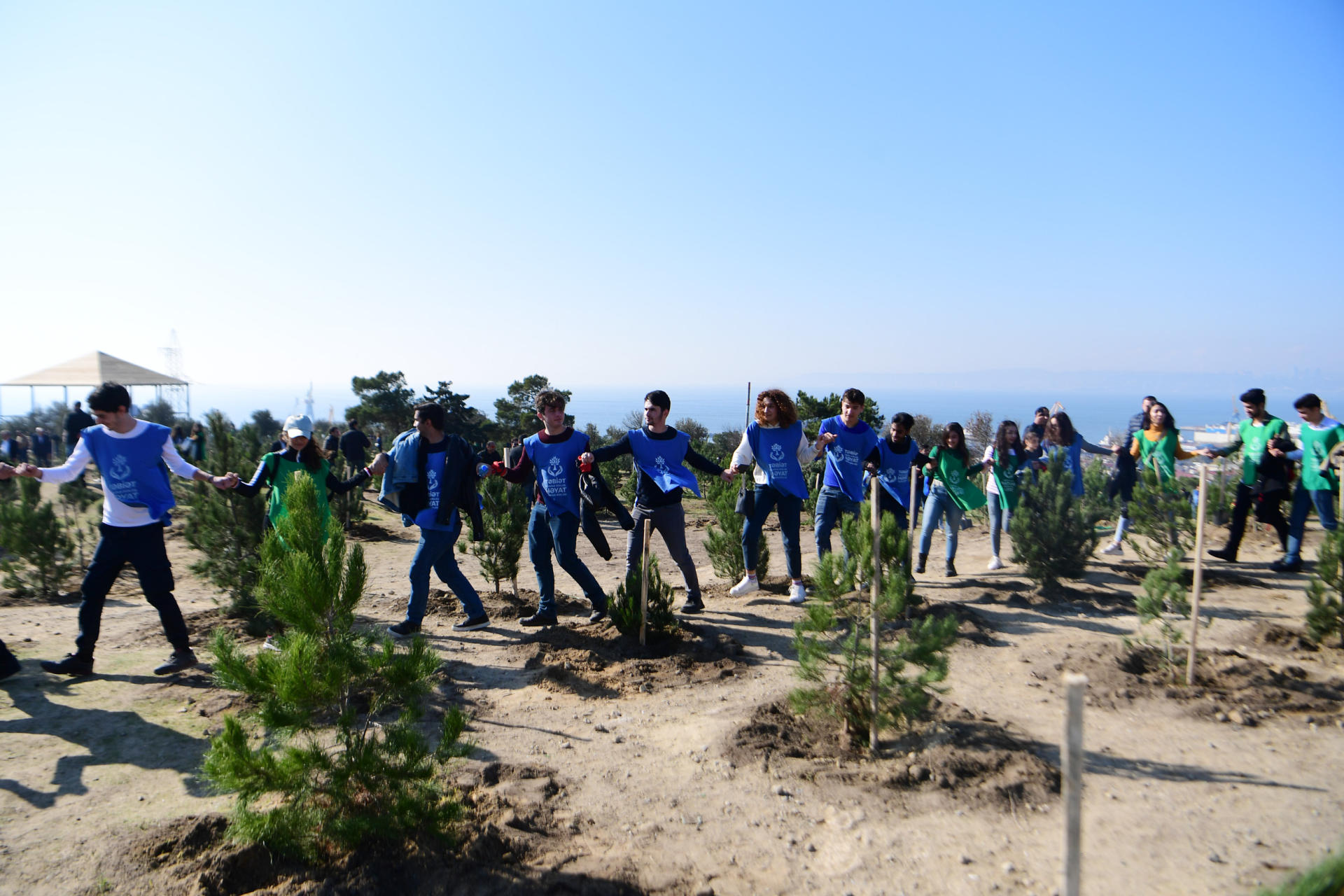 Azerbaijani president, first lady attend tree-planting campaign in Khatai district, Baku (PHOTO)