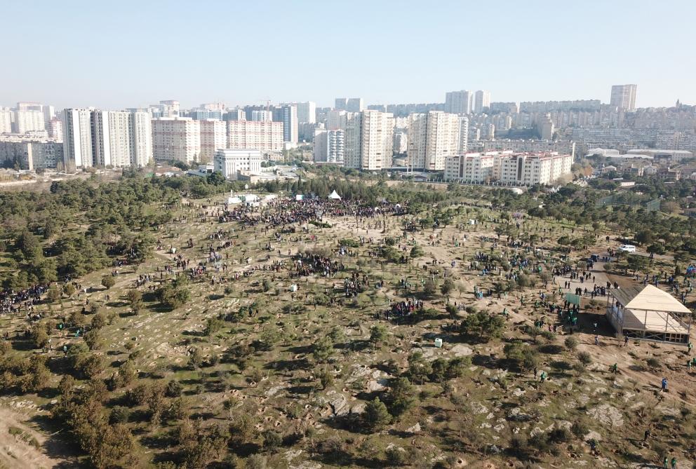Azerbaijani president, first lady attend tree-planting campaign in Khatai district, Baku (PHOTO)