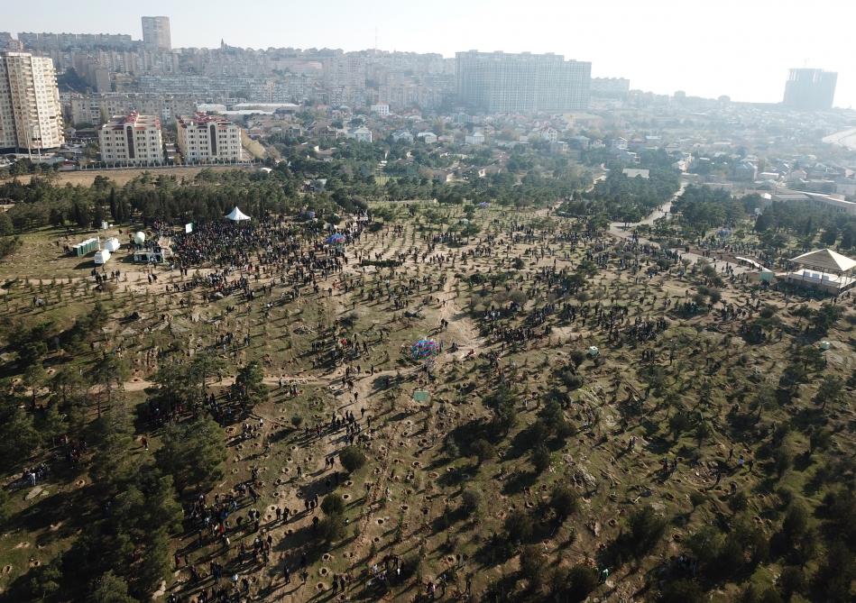 Azerbaijani president, first lady attend tree-planting campaign in Khatai district, Baku (PHOTO)