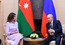 First Vice-President Mehriban Aliyeva met with Russian President Vladimir Putin (PHOTO)