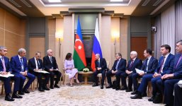 First Vice-President Mehriban Aliyeva met with Russian President Vladimir Putin (PHOTO)