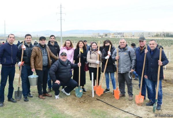 Trend.az, Day.az, Milli.az & Azernews.az staff take part in tree planting campaign (PHOTO/VIDEO)