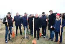 Alexander Sharovsky: I planted tree for first time in my life (PHOTO)
