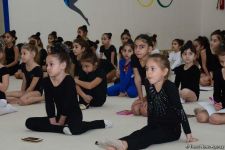 Members of Azerbaijan's national rhythmic gymnastics team meet with young athletes (PHOTO)