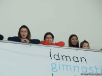 Members of Azerbaijan's national rhythmic gymnastics team meet with young athletes (PHOTO)