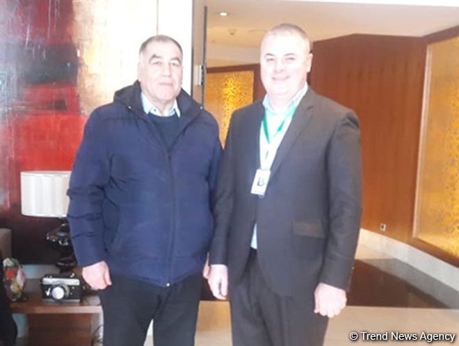 Georgian MP praises holding of parliamentary elections in Azerbaijan