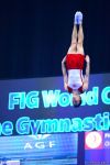 The best moments of FIG World Cup in Trampoline Gymnastics and Tumbling (PHOTO)