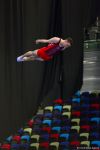 The best moments of FIG World Cup in Trampoline Gymnastics and Tumbling (PHOTO)