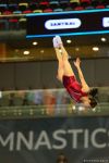 The best moments of FIG World Cup in Trampoline Gymnastics and Tumbling (PHOTO)