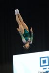 Finals of FIG World Cup in Trampoline, Tumbling kicks off in Baku (PHOTO)