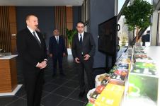 Azerbaijani president opens “ASAN Hayat” complex in Tovuz district (PHOTO)