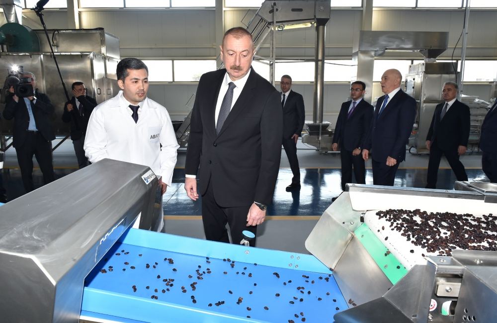 Azerbaijani president opens “ASAN Hayat” complex in Tovuz district (PHOTO)