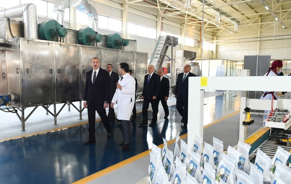 Azerbaijani president opens “ASAN Hayat” complex in Tovuz district (PHOTO)