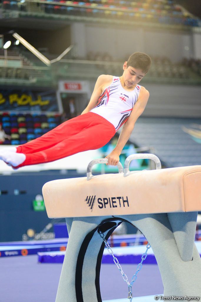 Finals of AGF Junior Trophy International Tournament in Men's Artistic Gymnastics continue at National Gymnastics Arena (PHOTO)