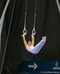 First day of FIG Artistic Gymnastics Apparatus World Cup kicks off in Baku (PHOTO)