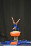 First day of FIG Artistic Gymnastics Apparatus World Cup kicks off in Baku (PHOTO)
