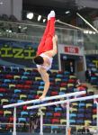 First day of FIG Artistic Gymnastics Apparatus World Cup kicks off in Baku (PHOTO)