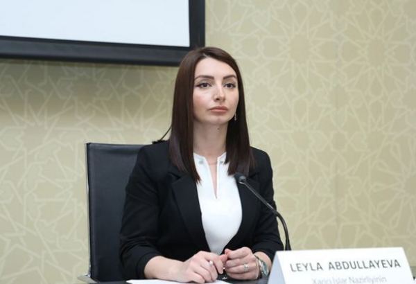 Foreign Ministry comments on information about threat to Azerbaijani ambassador to US posed by Armenian radicals