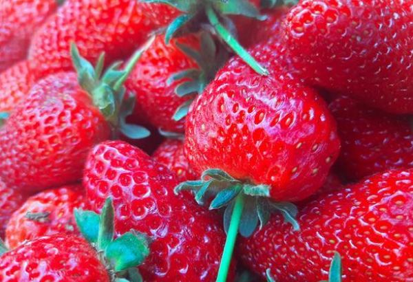 Uzbekistan increases fruit shipments to Russia amid domestic price surge