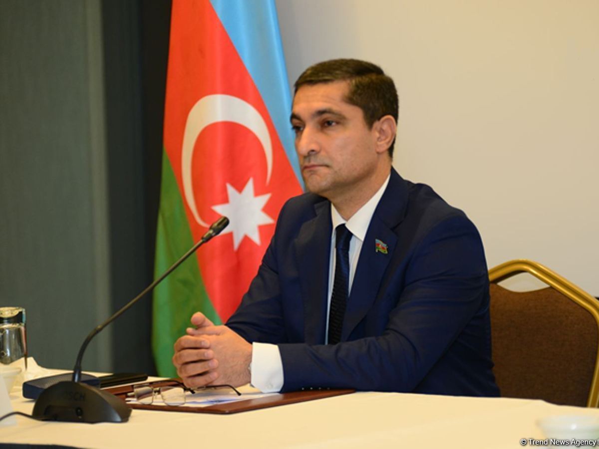 Heydar Aliyev Foundation: Azerbaijan’s joining REACT-C19 project - bright example of successful co-op with int'l organizations