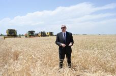 Azerbaijani president attends ceremony to start grain harvest in Aghjabadi (PHOTO/VIDEO)