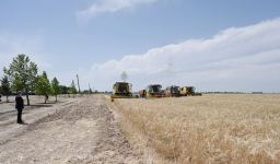 Azerbaijani president attends ceremony to start grain harvest in Aghjabadi (PHOTO/VIDEO)