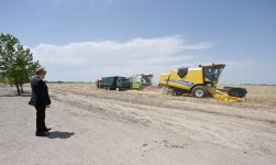 Azerbaijani president attends ceremony to start grain harvest in Aghjabadi (PHOTO/VIDEO)