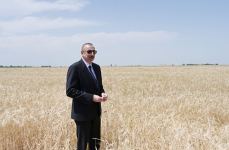 Azerbaijani president attends ceremony to start grain harvest in Aghjabadi (PHOTO/VIDEO)