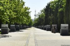 Exhibition of historical Baku photos opens on Baku boulevard (PHOTO)