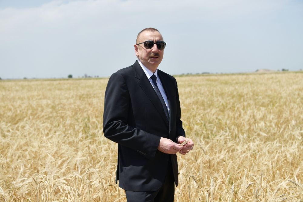Azerbaijani president attends ceremony to start grain harvest in Aghjabadi (PHOTO/VIDEO)
