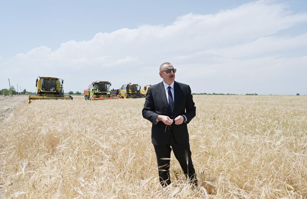 Azerbaijani president attends ceremony to start grain harvest in Aghjabadi (PHOTO/VIDEO)