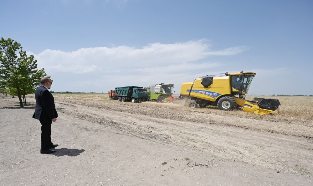 Azerbaijani president attends ceremony to start grain harvest in Aghjabadi (PHOTO/VIDEO)