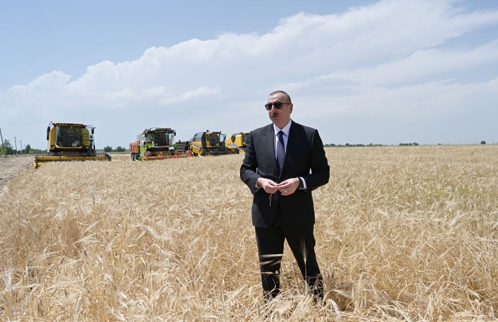 Azerbaijani president attends ceremony to start grain harvest in Aghjabadi (PHOTO/VIDEO)